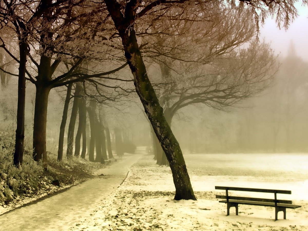 Winter scene with fog and bench in foreground