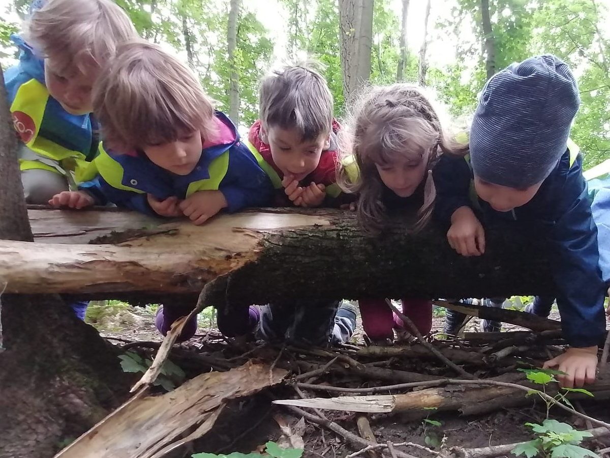 Children leaning over a tree during a spring walk in the park