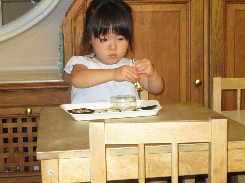 Child working in the practical life area using Montessori materials.